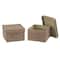 Household Essentials Fabric Storage Bin with Lid, 2ct.